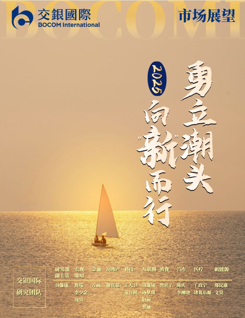 2025年市场展望:勇立潮头向“新”而行-241231(229页)