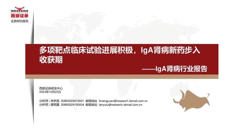 IgA肾病行业报告:多项靶点临床试验进展积极IgA肾病新药步入收获期-241223(53页)