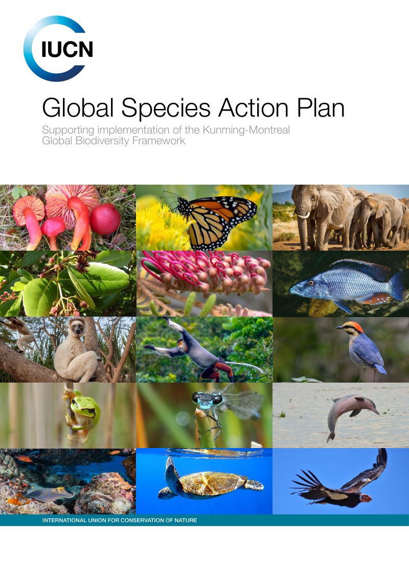 IUCN:2023《全球物种行动计划》支持昆明-蒙特利尔全球生物多样性框架的实施研究报告(英文版)(58页)