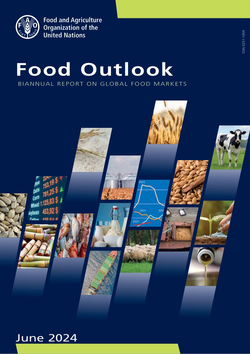 联合国粮农组织：2024年全球粮食市场展望半年度报告（英文版）（144页）