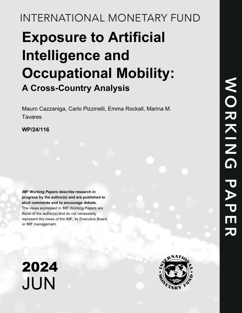 国际货币基金组织:2024人工智能与职业流动:跨国分析报告(英文版)(52页)