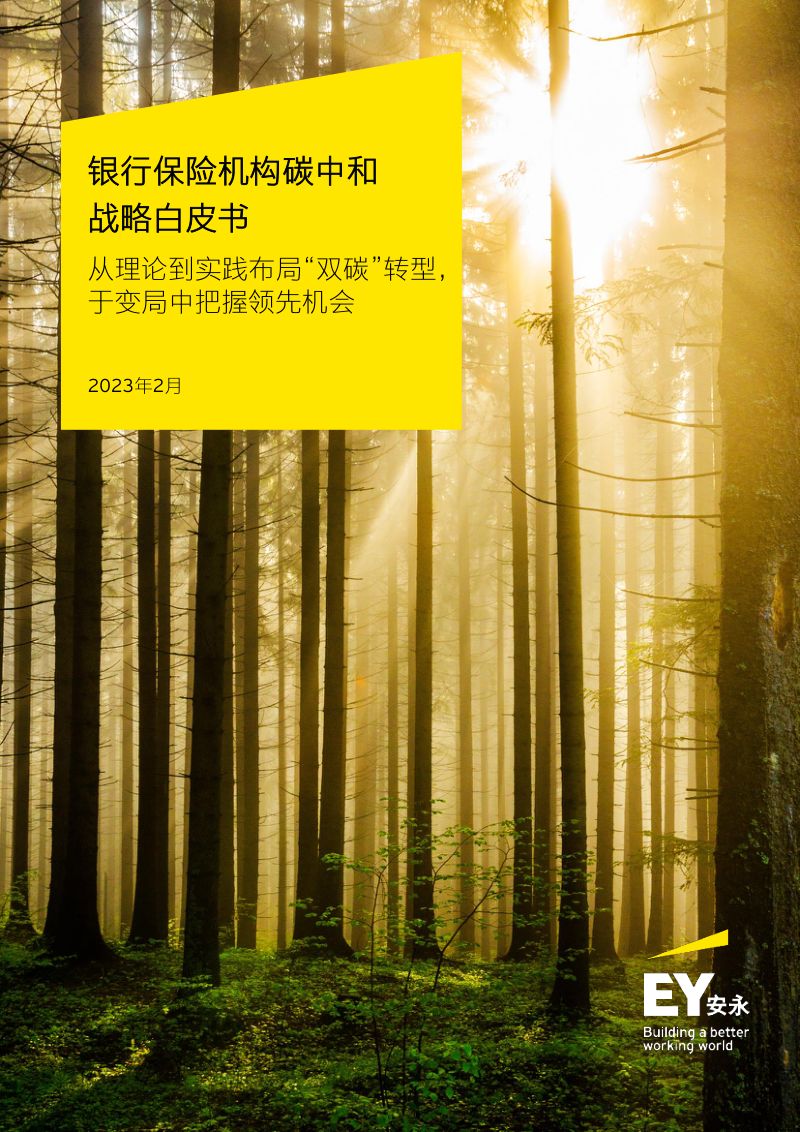 安永：2023银行保险机构碳中和战略白皮书（52页）