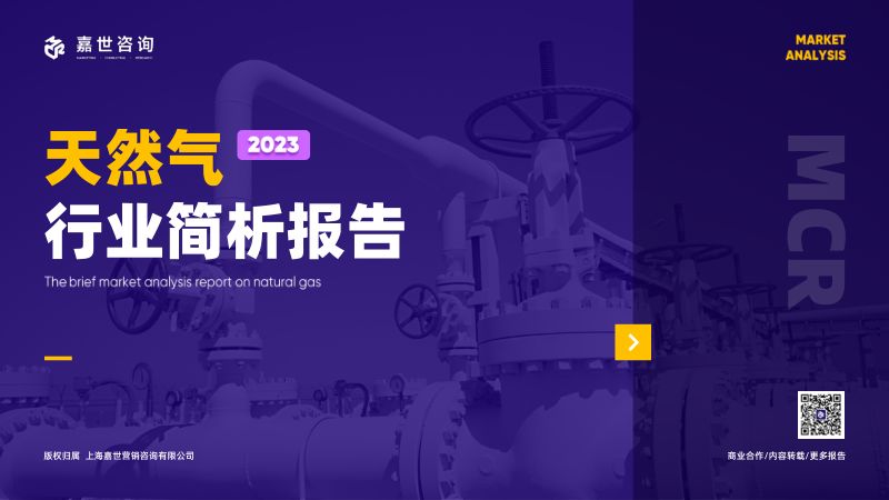 嘉世咨询:2023天然气行业发展简析报告(16页)