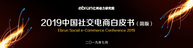 亿邦动力：2019社交电商白皮书(25页)