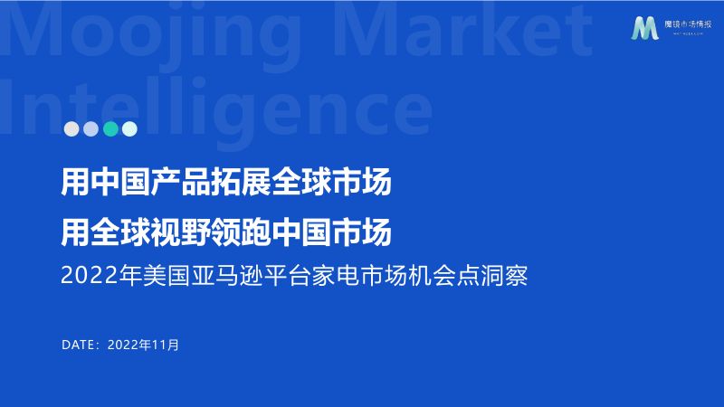 魔镜市场情报：2022年美国亚马逊平台家电市场机会点洞察报告（45页）