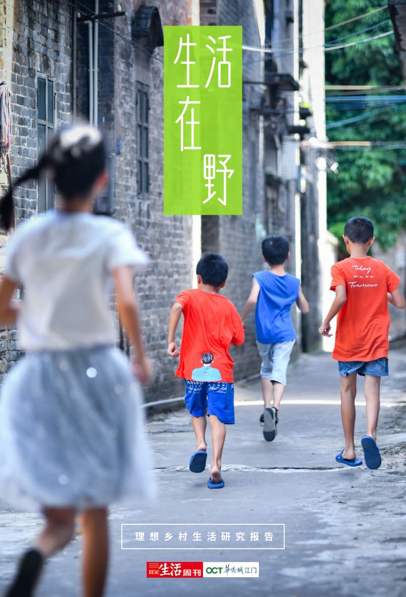 生活在野：理想乡村生活研究报告（24页）