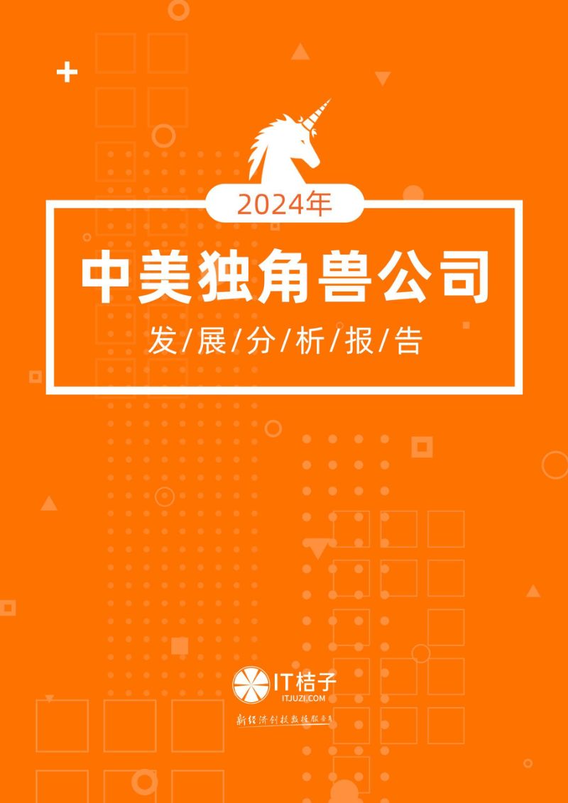 IT桔子：2024年中美独角兽公司发展分析报告（37页）