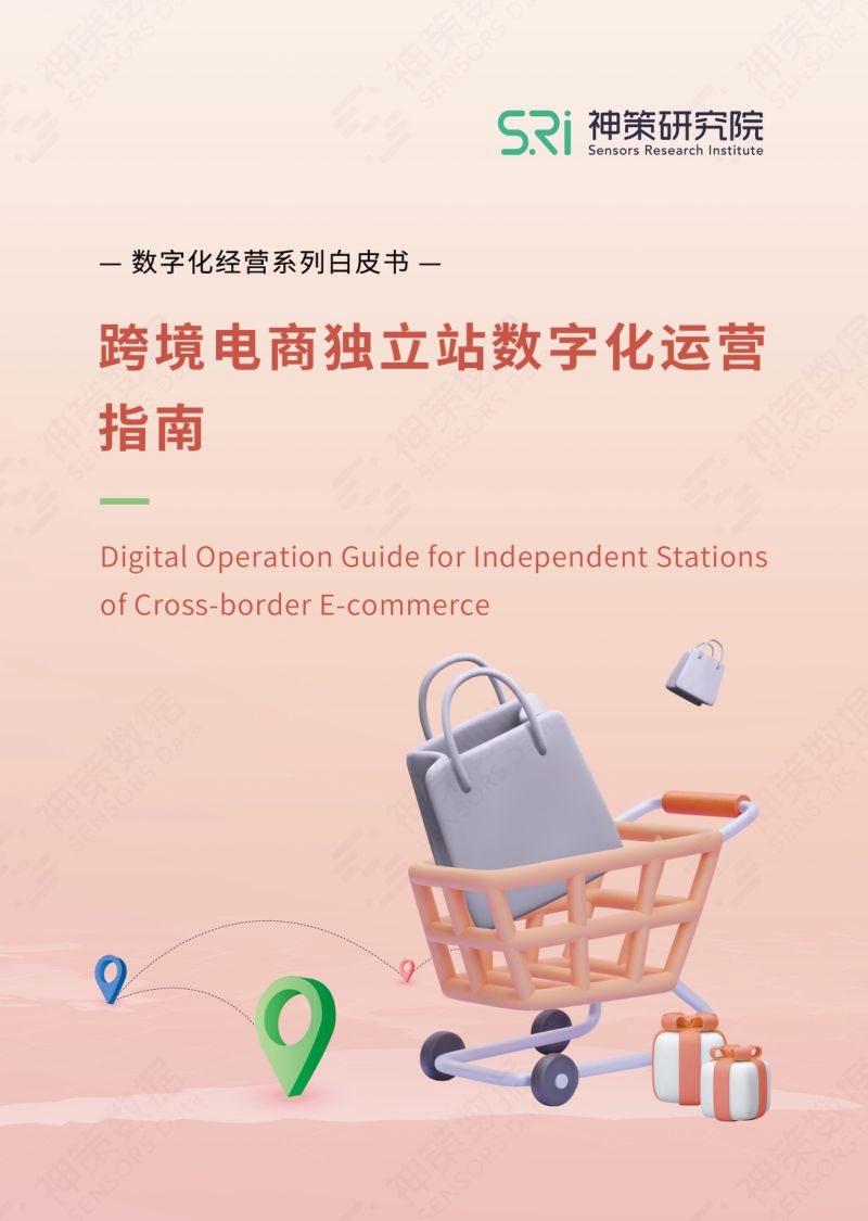 跨境电商独立站数字化运营指南（2022）（24页）