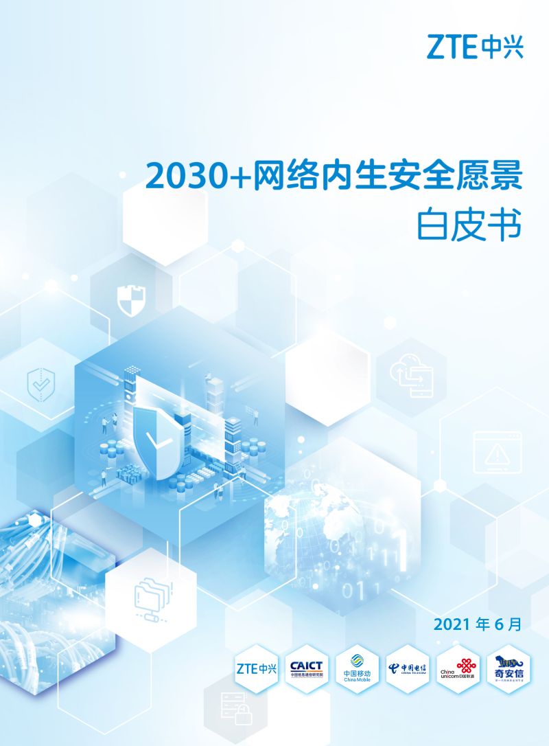 中兴&信通院：2030+网络内生安全愿景白皮书（11页）