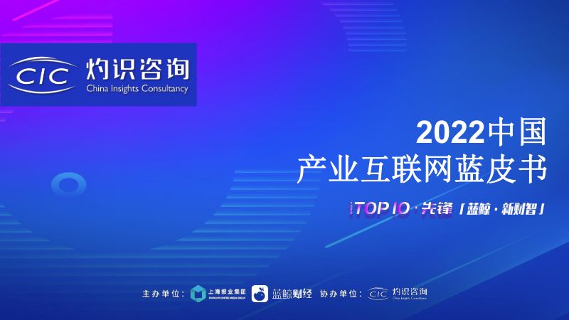 灼识咨询：2022中国产业互联网蓝皮书（33页）