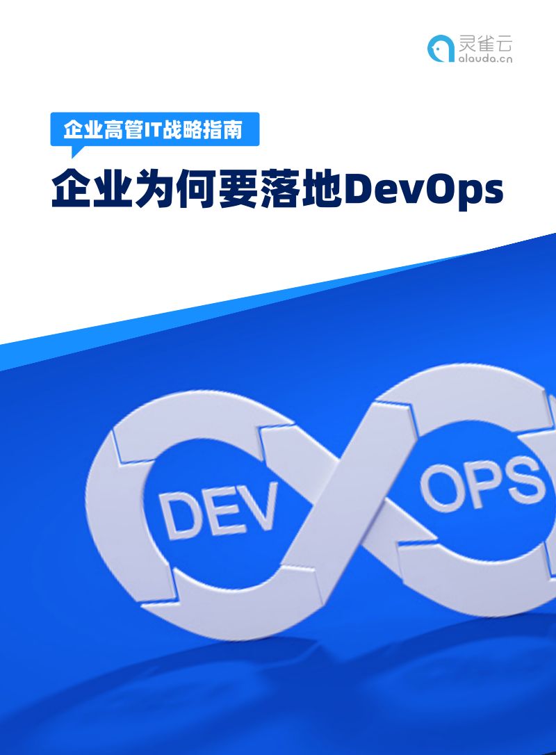 灵雀云:2022企业高管IT战略指南-企业为何要落地DevOps(18页)