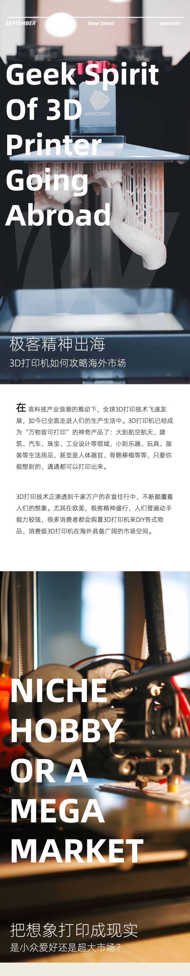 西窗科技：2023年3D打印机出海研究报告（7页）