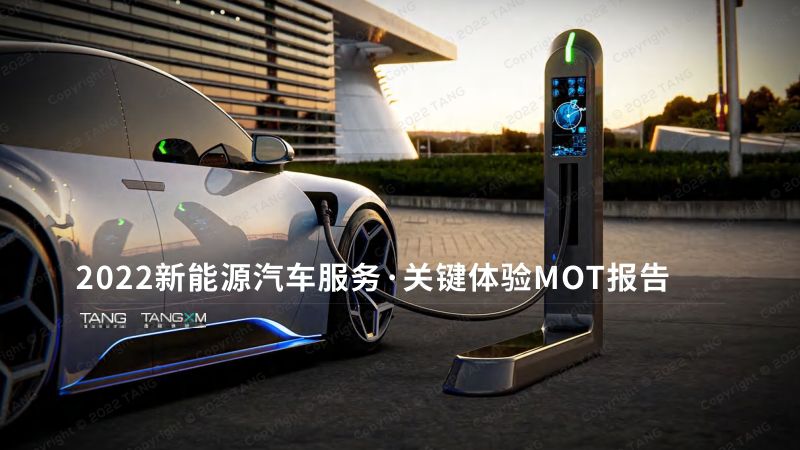 唐硕:2022新能源汽车服务-关键体验MOT报告(50页)