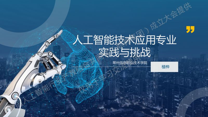 人工智能技术应用专业实践与挑战-楼桦