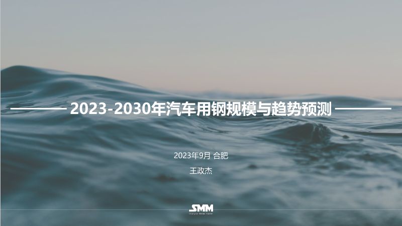 王政杰-合肥新能源汽车会议PPT