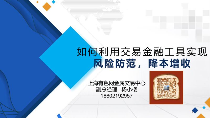 杨小楼-如何利用金融工具实现风险防范与降本增收