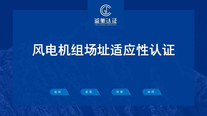 1机组风电场适应性认证介绍 V2.1