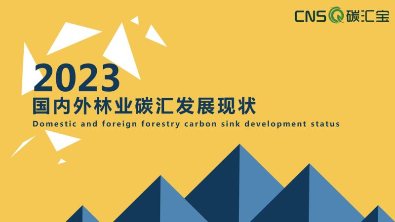 碳汇宝:2023国内外林业碳汇发展现状报告(17页)