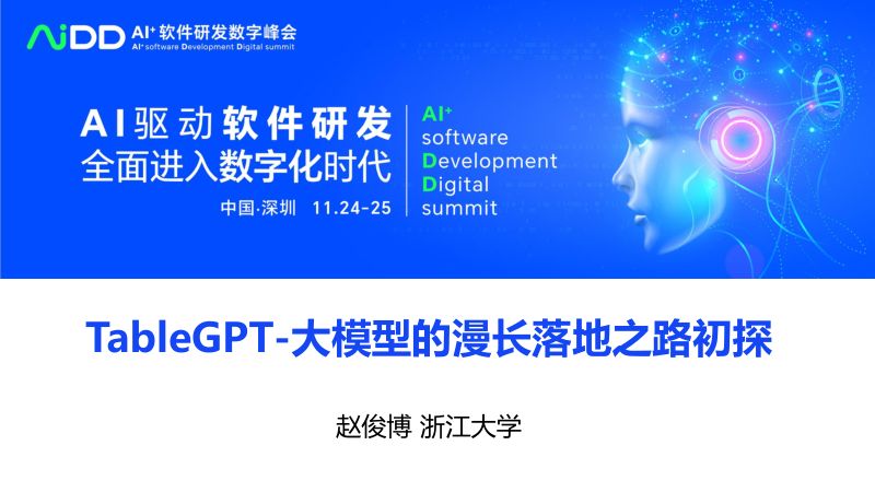 赵俊博-TableGPT-大模型的漫长落地之路初探
