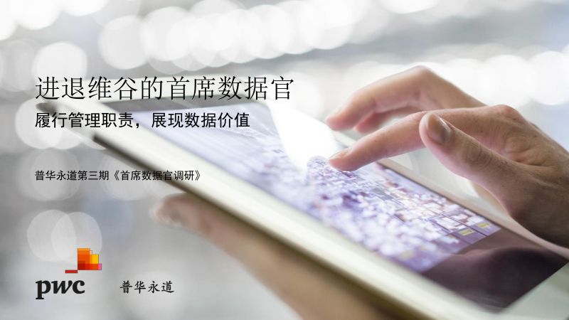 普华永道：2024全球首席数据官调研报告-进退维谷的首席数据官（第三期）（23页）