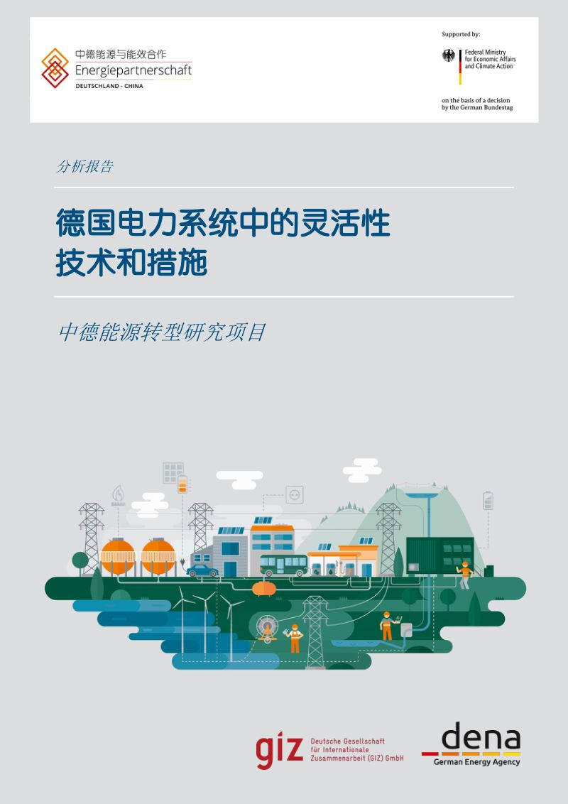 中国能源与能效合作：德国电力系统中的灵活性技术和措施（37页）