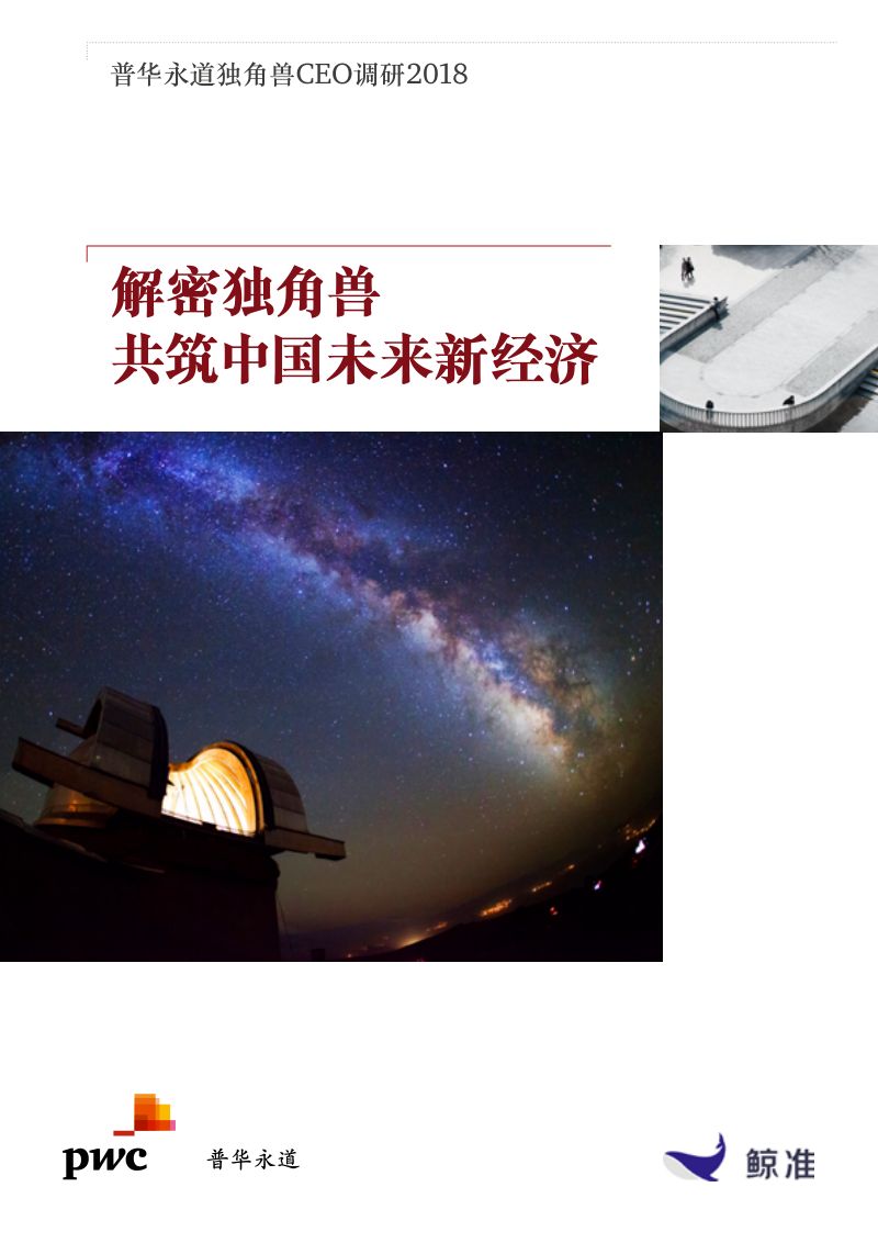 解密独角兽共筑中国未来新经济（37页）
