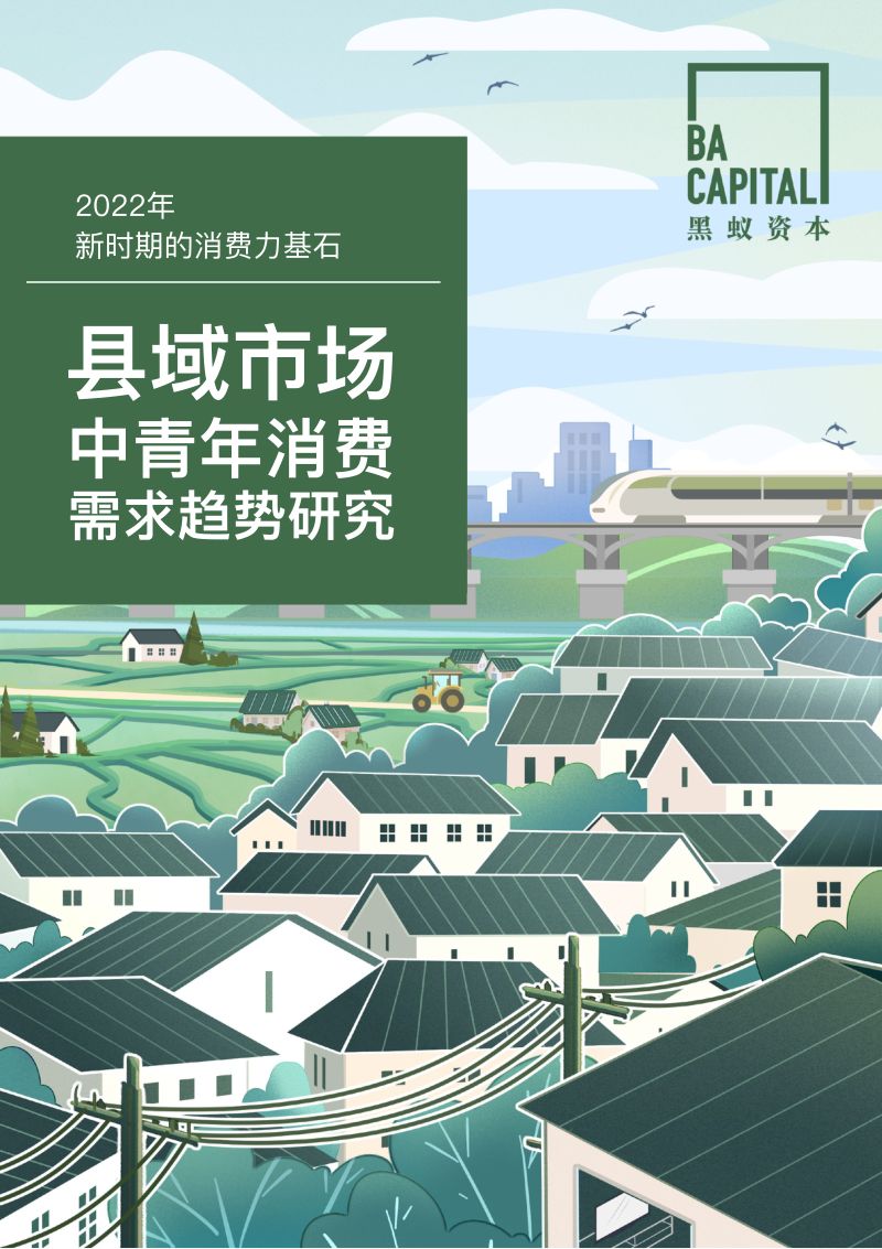 黑蚁资本：2022县域市场中青年消费需求趋势研究报告（49页）