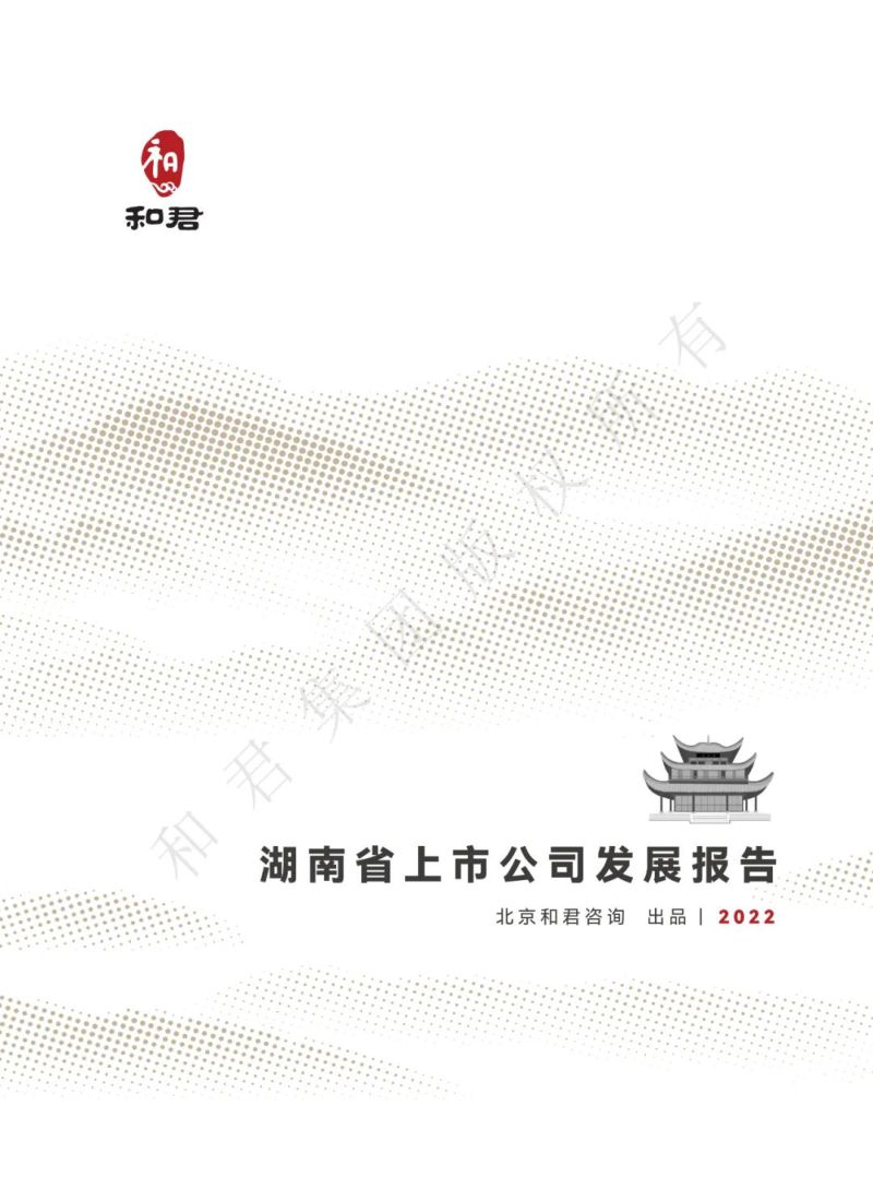 和君咨询:2022湖南省上市公司发展报告(62页)
