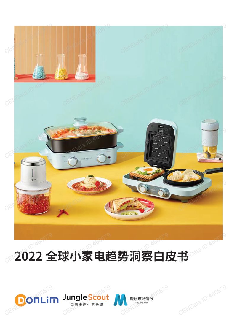 魔镜市场情报:2022全球小家电趋势洞察白皮书(66页)