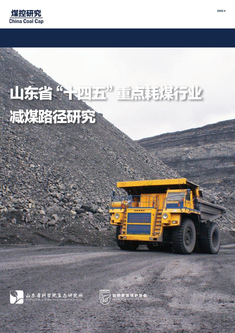 自然资源部保护协会：2022年山东省“十四五”重点耗煤行业减煤路径研究报告（54页）