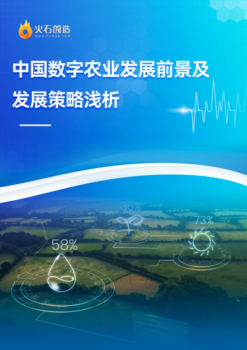 火石创造：2022中国数字农业发展前景及发展策略浅析报告（11页）