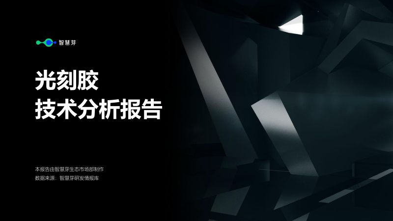 智慧芽：2023光刻胶技术分析报告（13页）