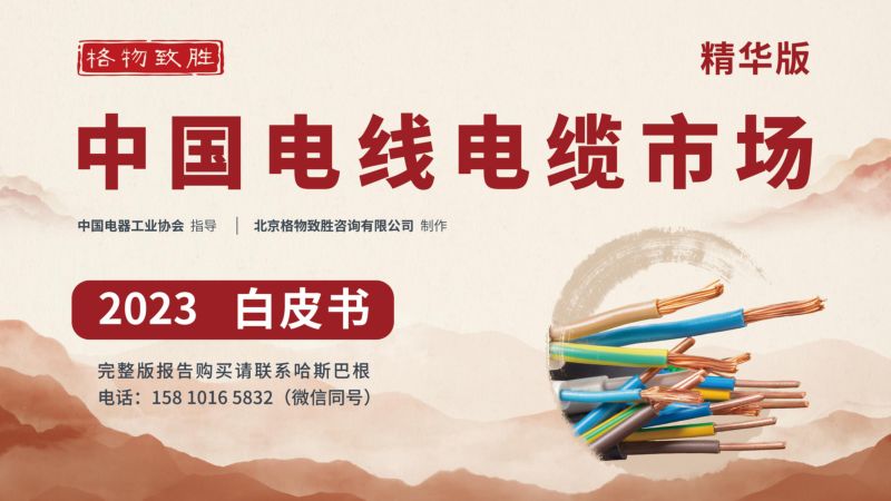 格物致胜：2023中国电线电缆市场白皮书（精华版）（37页）