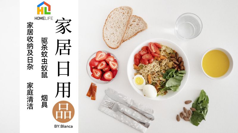 HOMELIFE：2023家居日用品市场洞察报告（89页）
