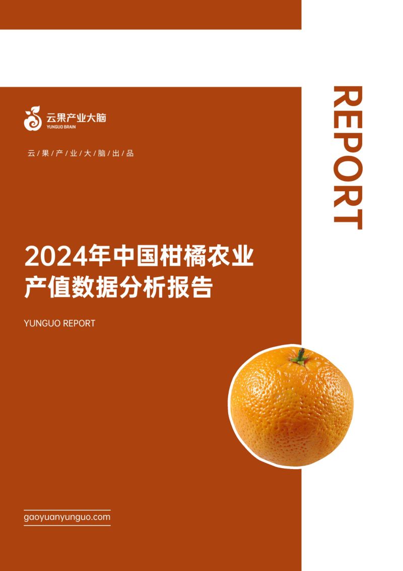 云果：2024年中国柑橘农业产值数据分析报告（17页）