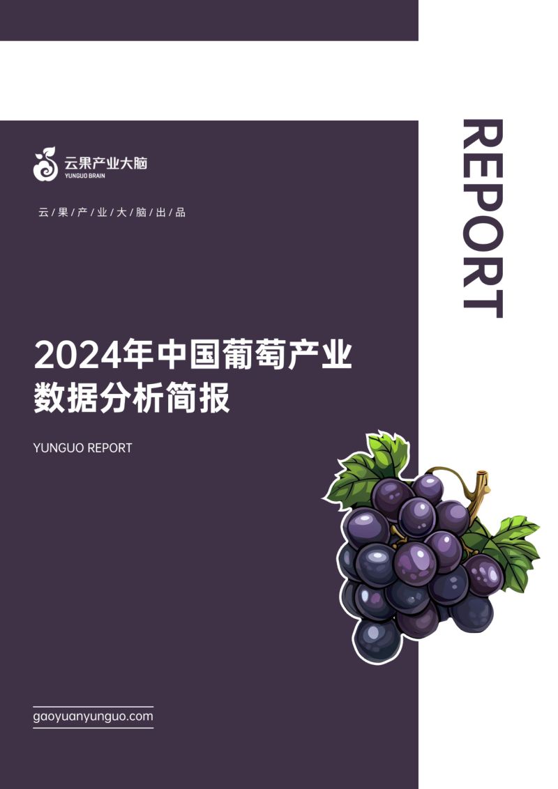 云果:2024年中国葡萄产业数据分析简报(20页)