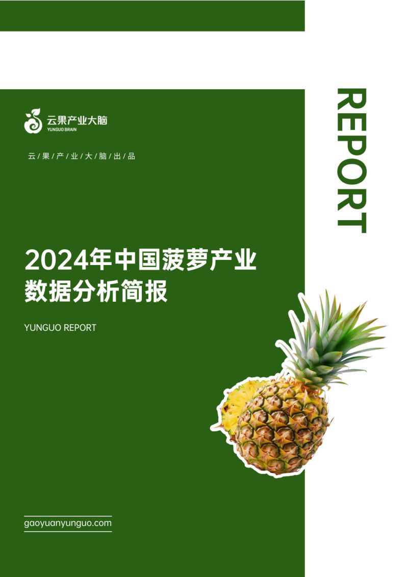 云果:2024年中国菠萝产业数据分析简报(20页)