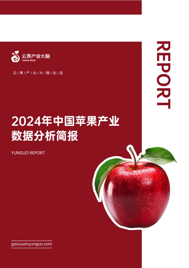 云果:2024年中国苹果产业数据分析简报(21页)