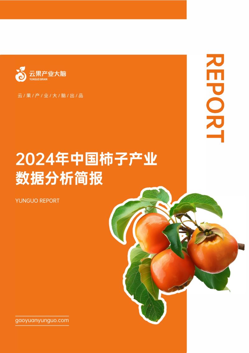 云果:2024年中国柿子产业数据分析简报(13页)