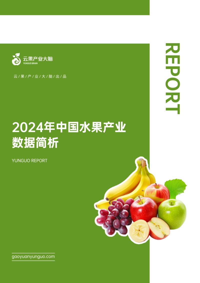 云果:2024年中国水果产业数据简析报告(18页)