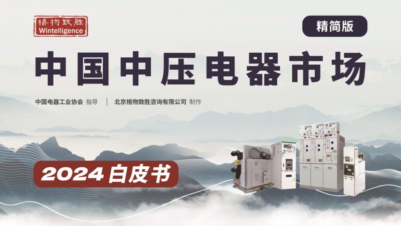 格物致胜:2024年中国中压电器白皮书(79页)