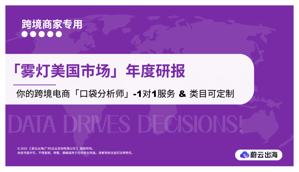2025亚马逊【雾灯】行业年度研究