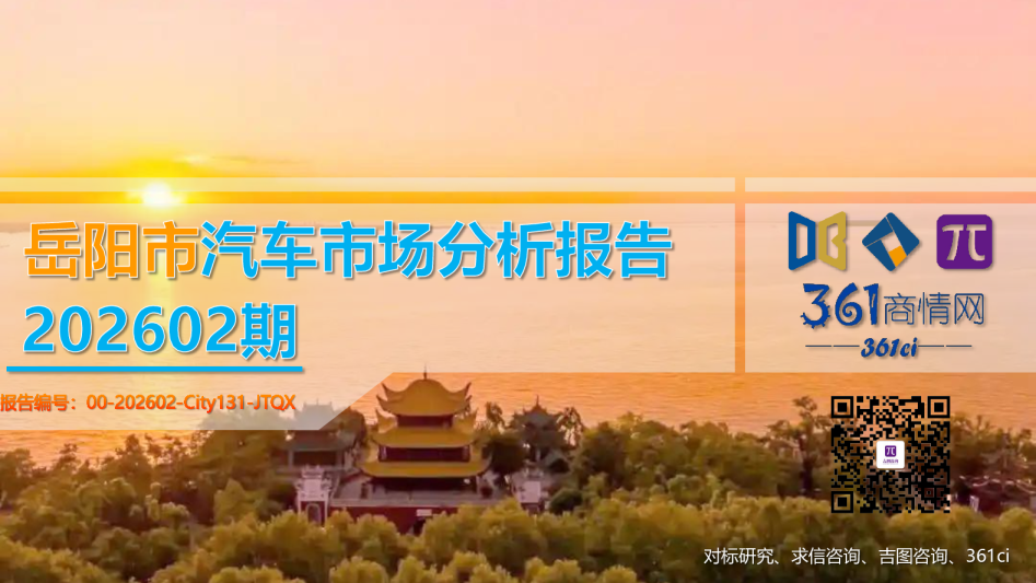 汽车市场分析报告