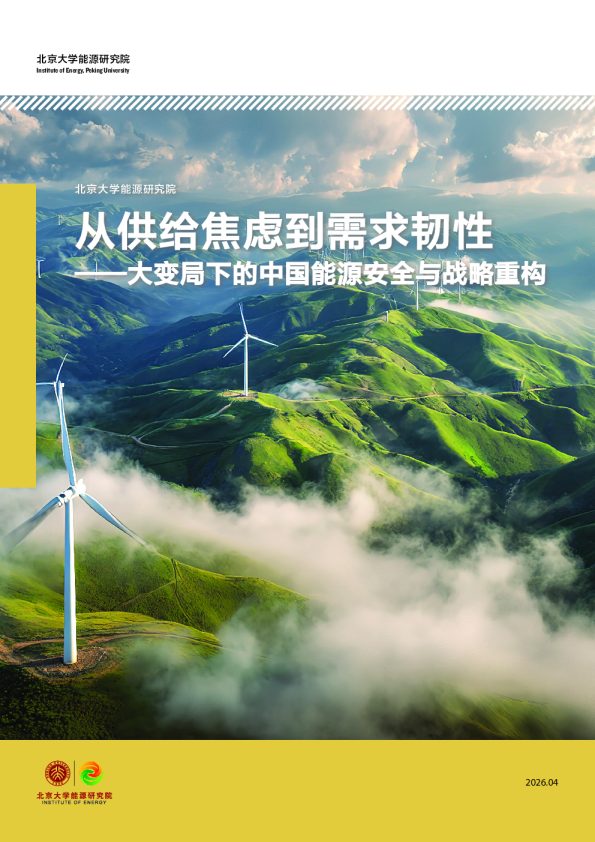 从供给焦虑到需求韧性——大变局下的中国能源安全与战略重构