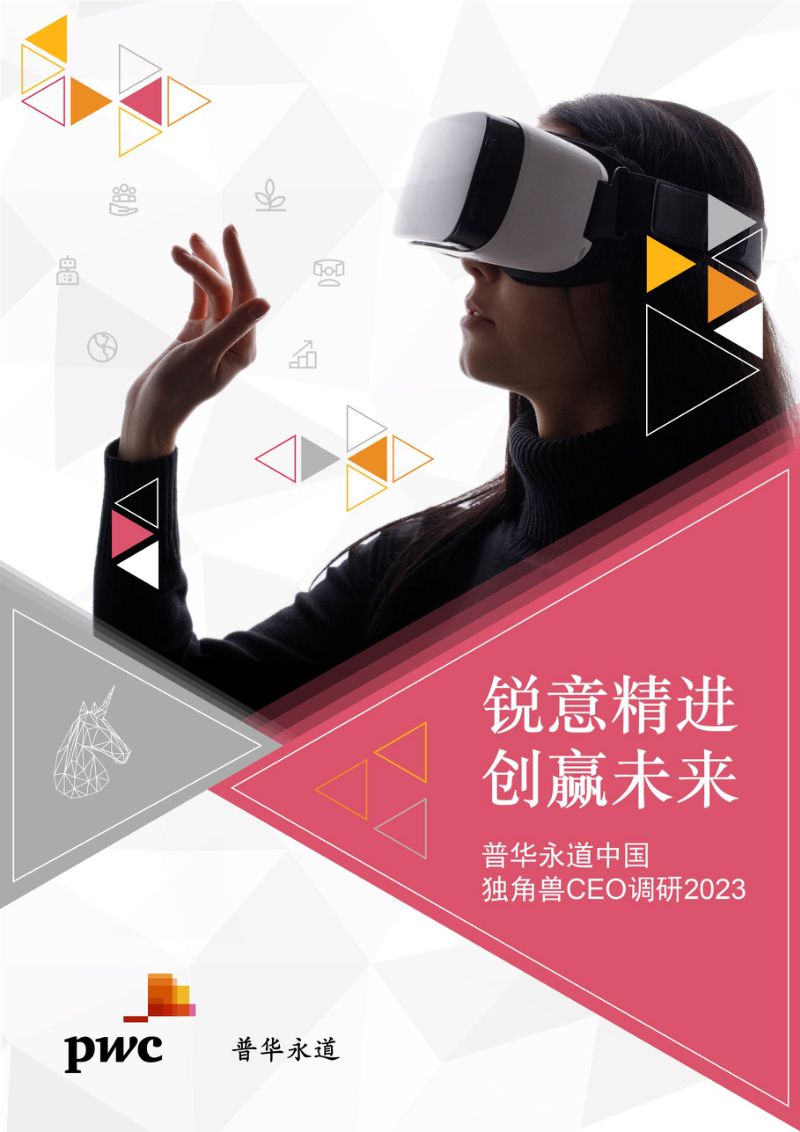 电科芯片：中电科芯片技术股份有限公司2022年度报告