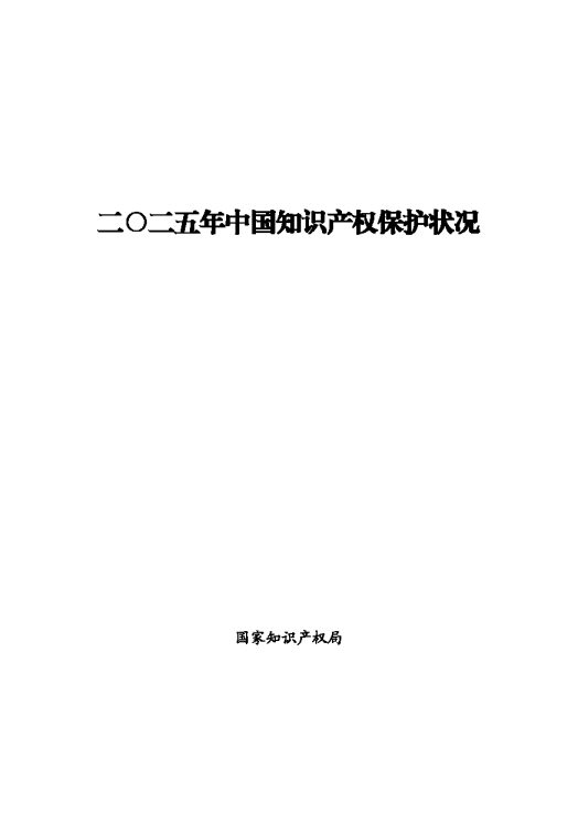 二〇二五年中国知识产权保护状况