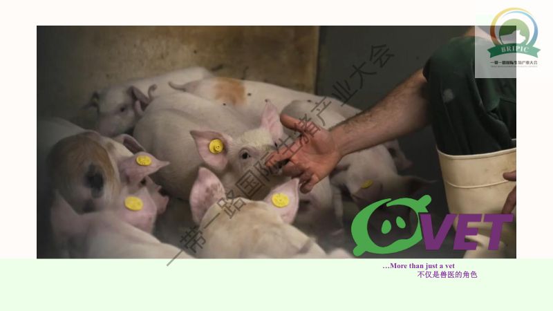 约翰·豪格加德-丹麦兽医如何帮助农民优化生产效率和降低成本