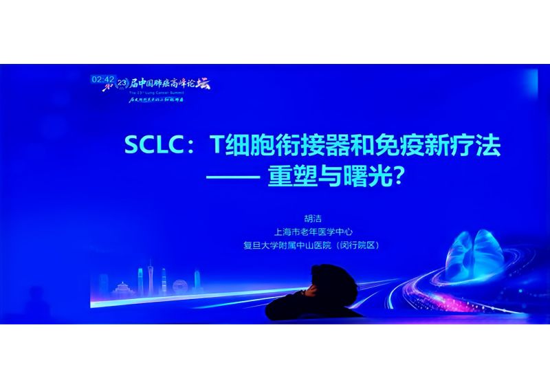 热点讨论：聚焦T细胞衔接器和免疫新疗法