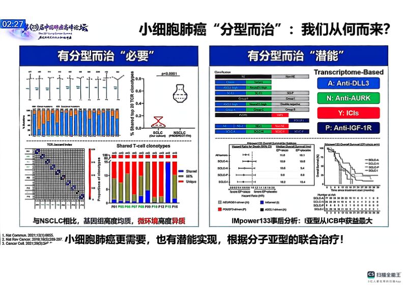 热点讨论:分子分型在小细胞肺癌治疗中的指导意义 (1)