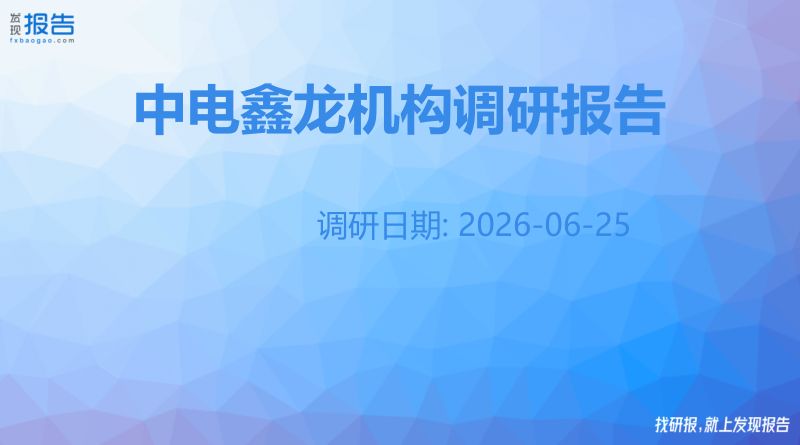 中电鑫龙机构调研纪要
